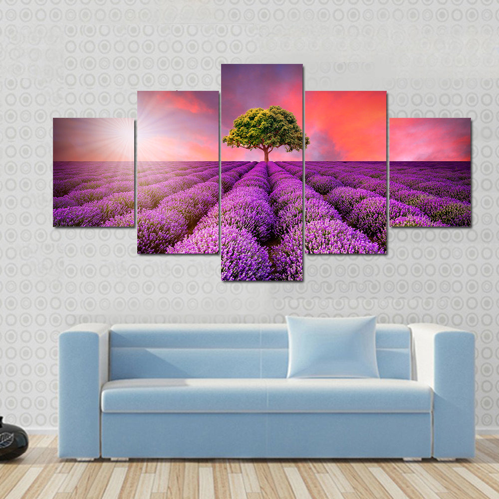 Lavender Field At Sunset Canvas Wall Art