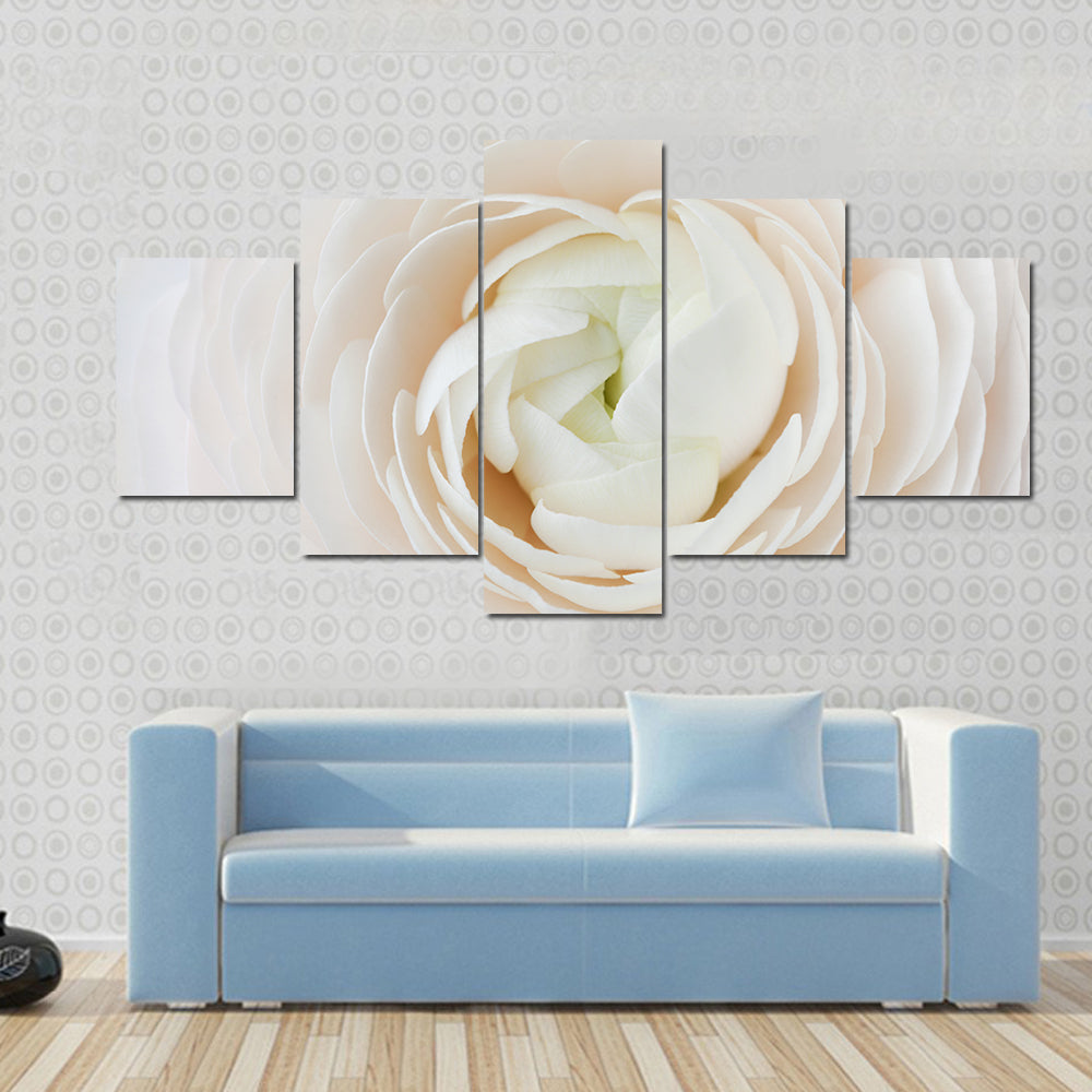 Closeup of Ranunculus Flower Canvas Wall Art