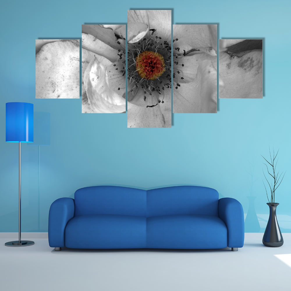 Selective Color Macro Flower Canvas Wall Art