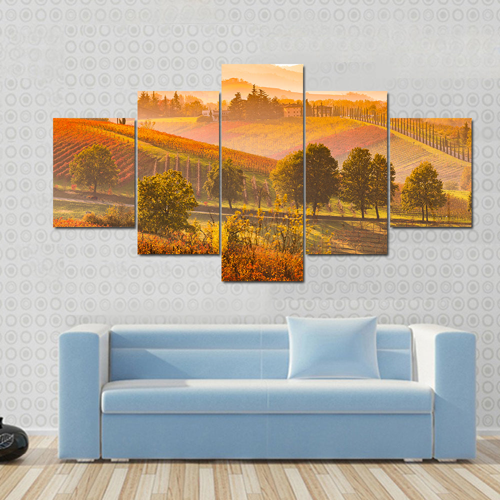 Italian Vineyards and Rolling Hills Canvas Wall Art