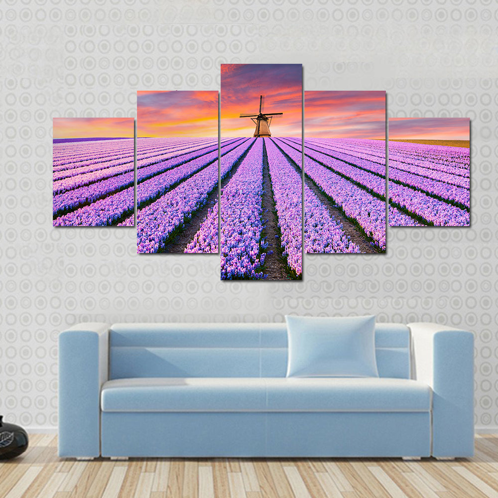Spring Scene On The Flowers Farm In Netherlands Canvas Wall Art