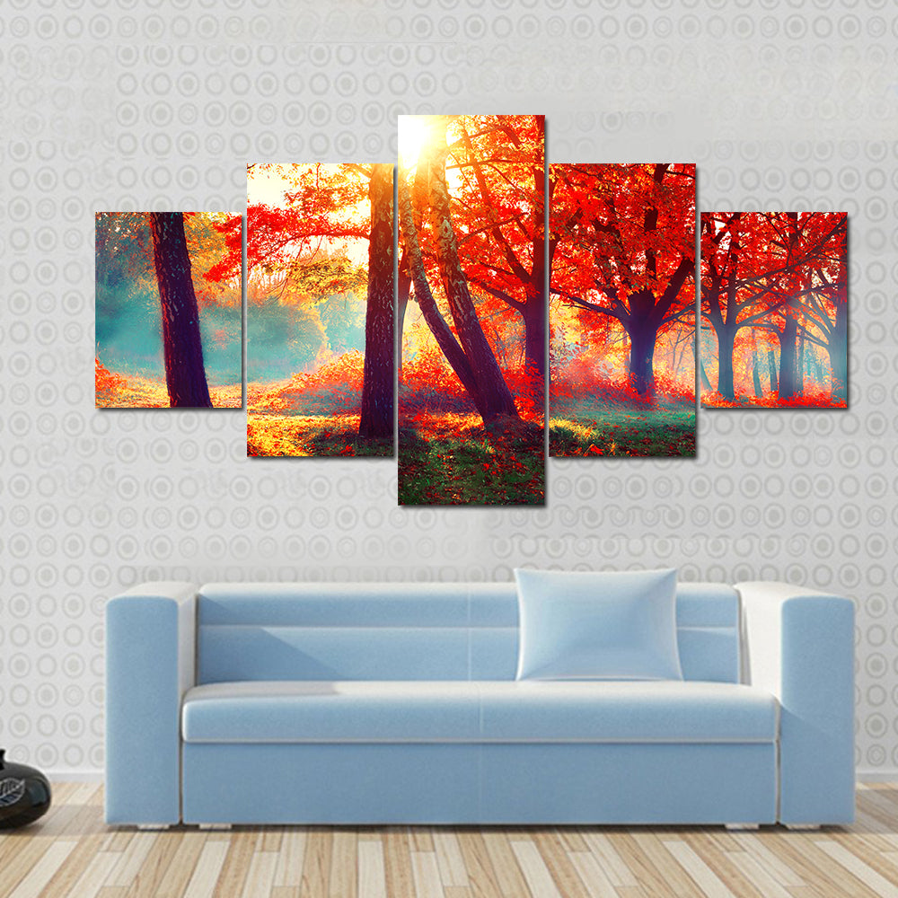 Beautiful Autumnal Park Canvas Wall Art