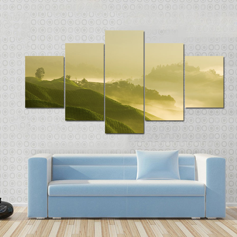 Tea Plantation At Cameron Highland Malaysia Canvas Wall Art