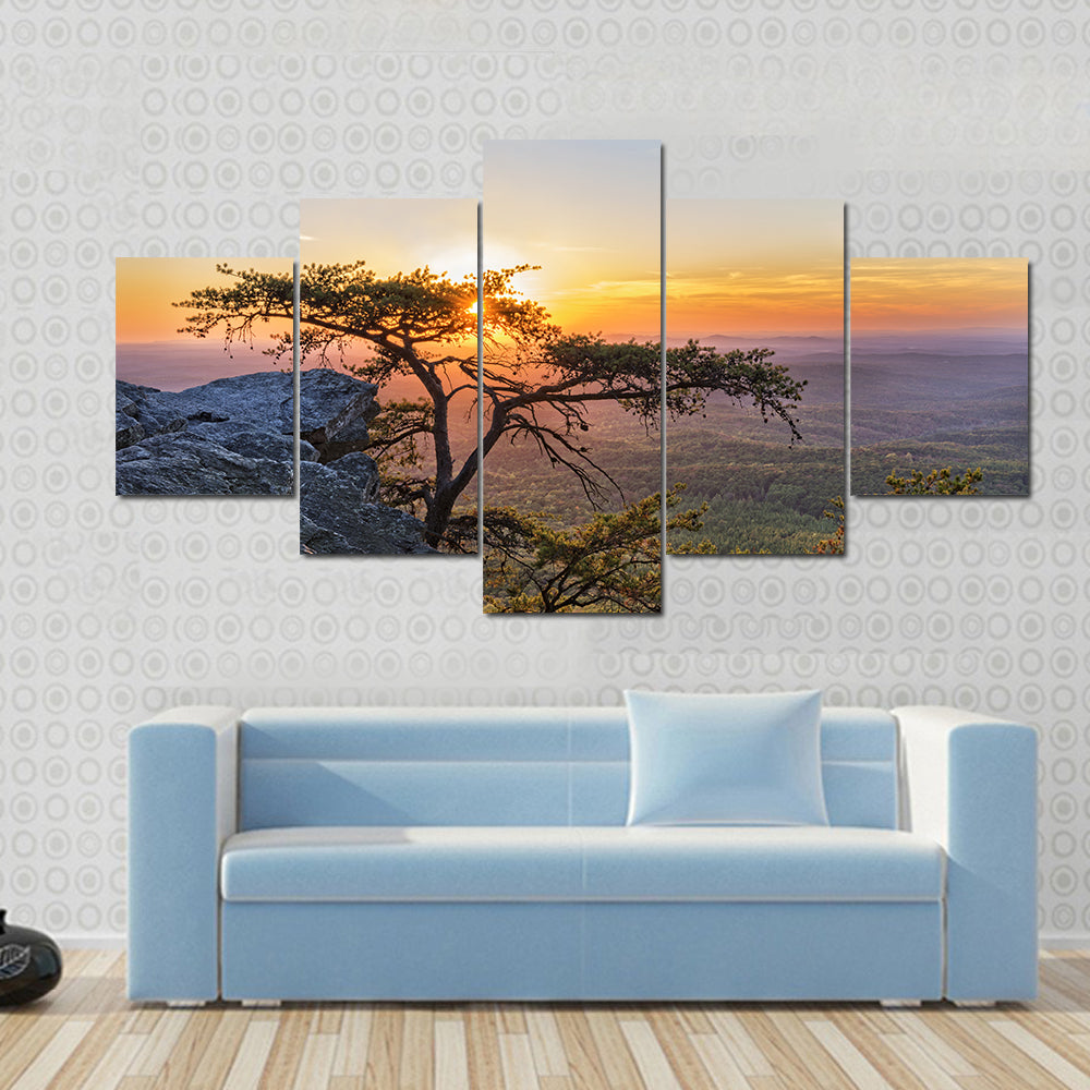 Gnarled Tree at Sunset Overlook Canvas Wall Art