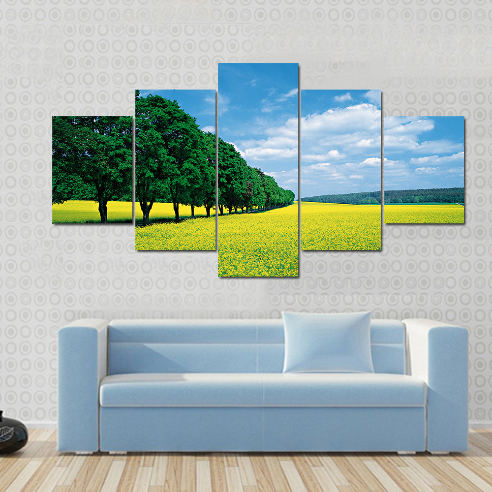Spring Fields And Allee In Summer Canvas Wall Art