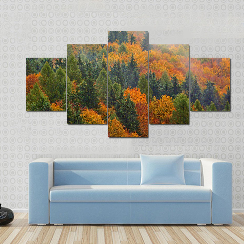Foggy Autumn Forest In Romania Canvas Wall Art