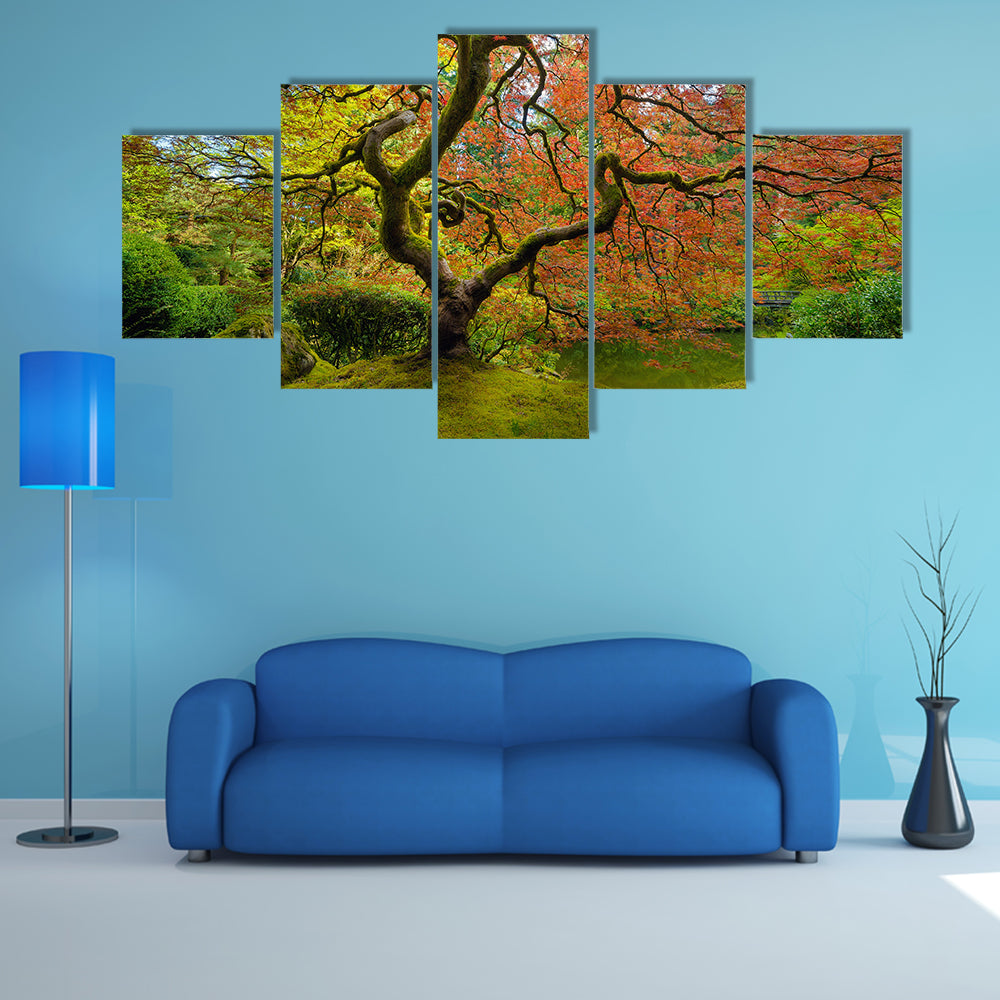 Gnarled Japanese Maple Tree in Portland Canvas Wall Art in red, orange and green, framed print, product view on a white background