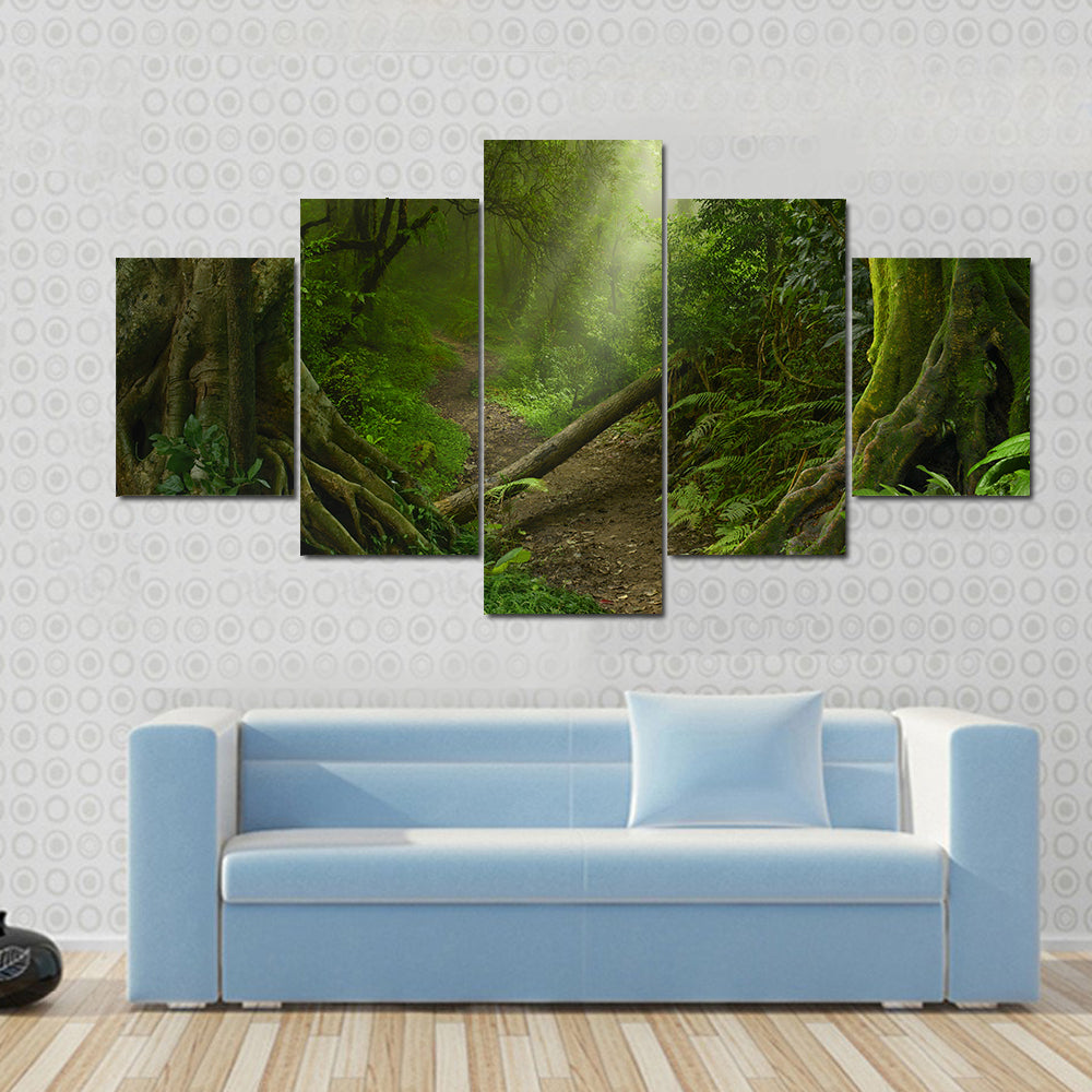 Asian Rain Forest With Sun Rays Canvas Wall Art
