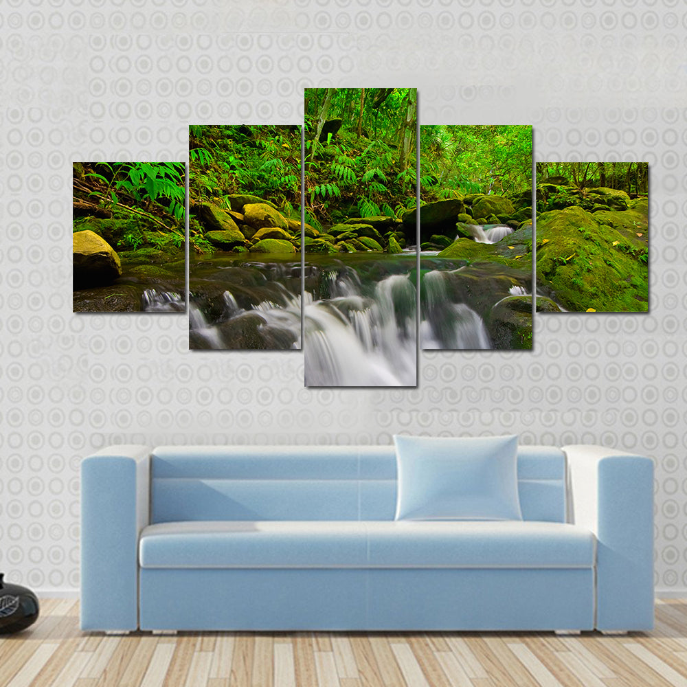Stream Flowing Through Lush Jungle In Maui Hawaii Canvas Wall Art