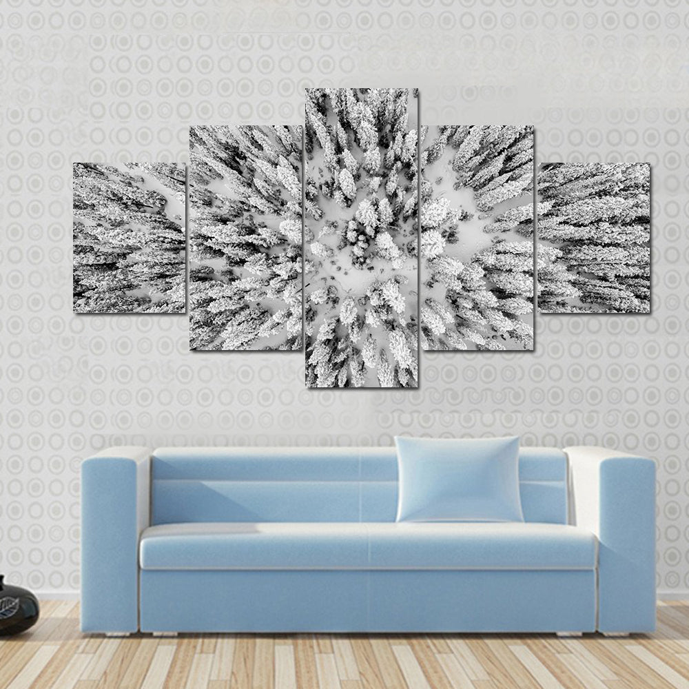 Snow Covered Evergreen Forests In The Colorado Rocky Mountains Canvas Wall Art