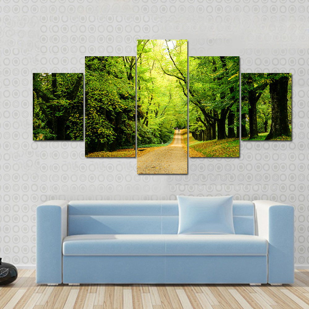 Path In The Forest Woods Canvas Wall Art
