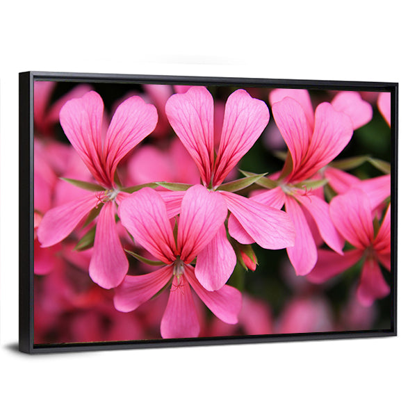 Pink Geranium Cascade Flowers Canvas Wall Art