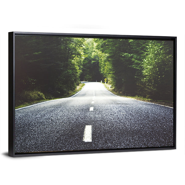 Summer Country Road Through Forest Canvas Wall Art