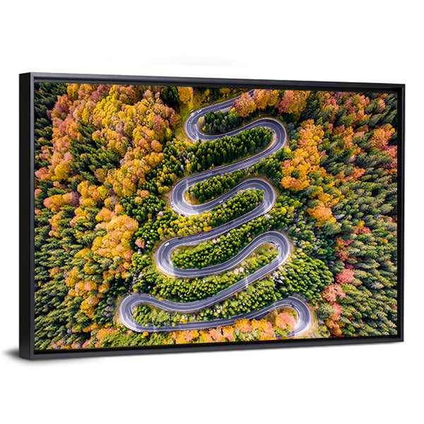 Autumn Winding Road In The Forest Canvas Wall Art
