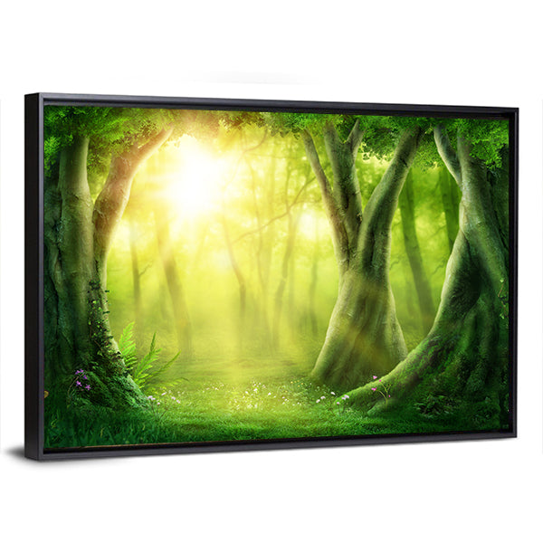 Dark Magic Forest With Sunshine Canvas Wall Art