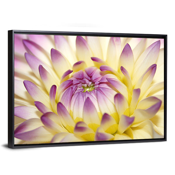 Macro Pink Flower Canvas Wall Art in yellow, purple and pink, framed canvas, product view on a white background
