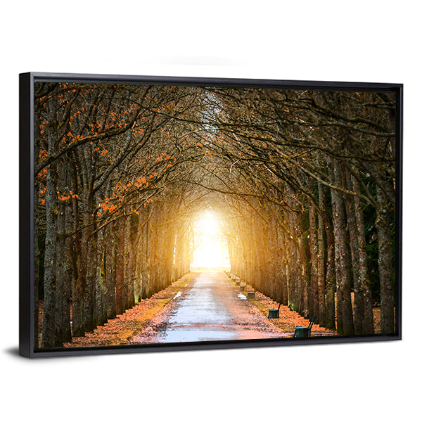 Autumn Tree Tunnel with Benches Canvas Wall Art
