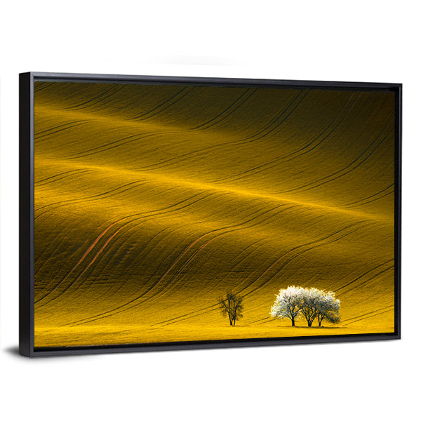 Spring Wavy Yellow Rapeseed Field Canvas Wall Art