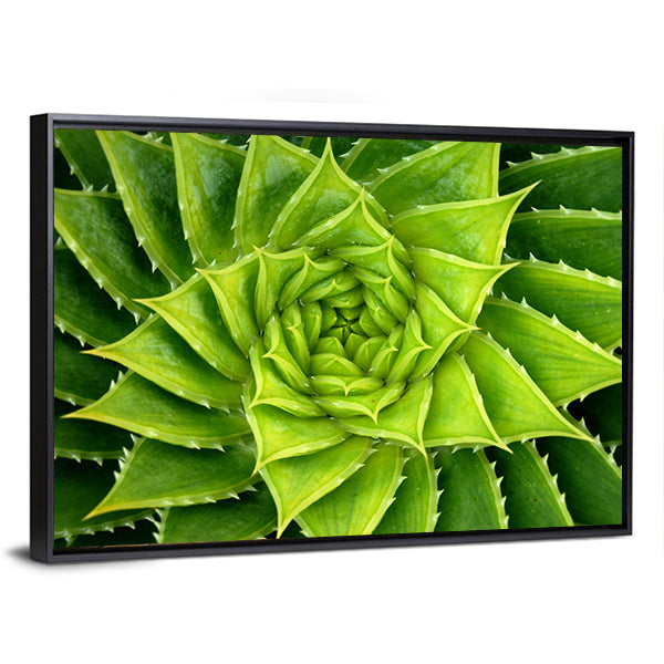 Vivid Green Spiral Aloe Plant Canvas Wall Art