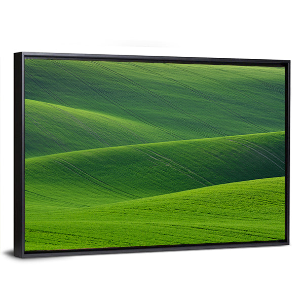Rolling Green Hills in South Moravia Canvas Wall Art