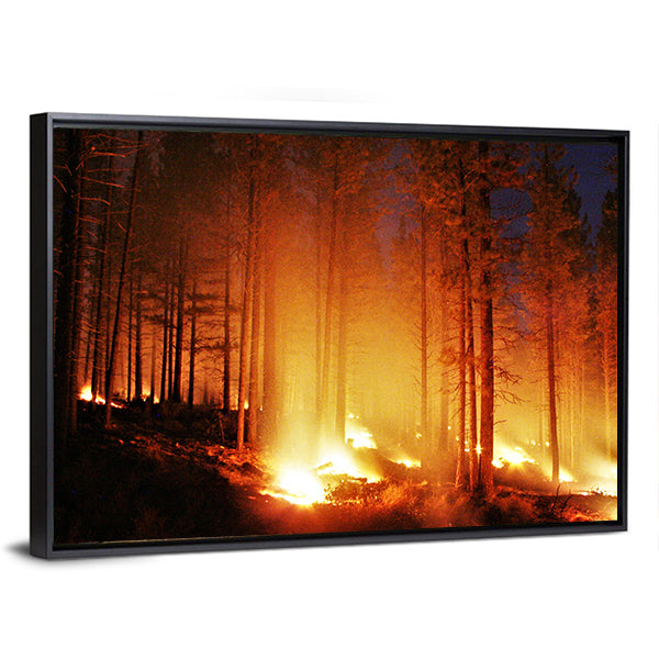 Glowing Forest Fire At Night Canvas Wall Art