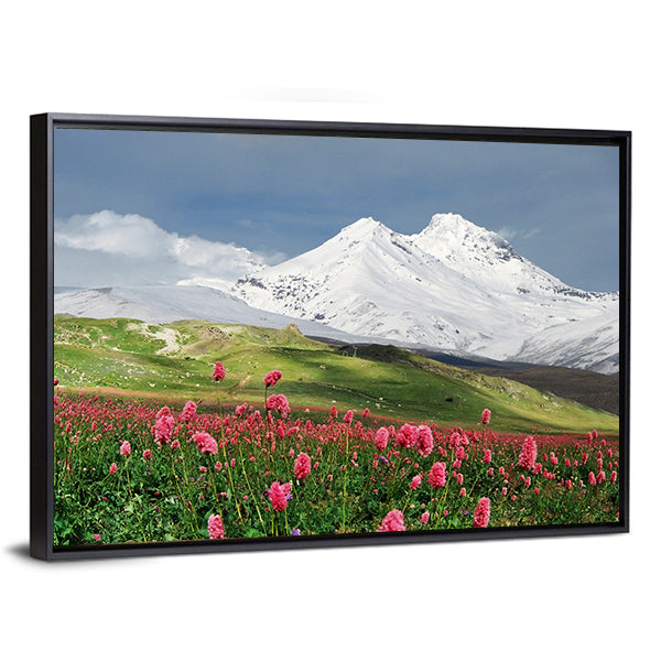 Blooming Flowers in Alpine Meadow Canvas Wall Art