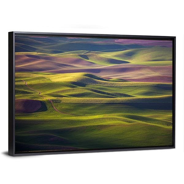 Palouse Rolling Hills at Golden Hour Canvas Wall Art