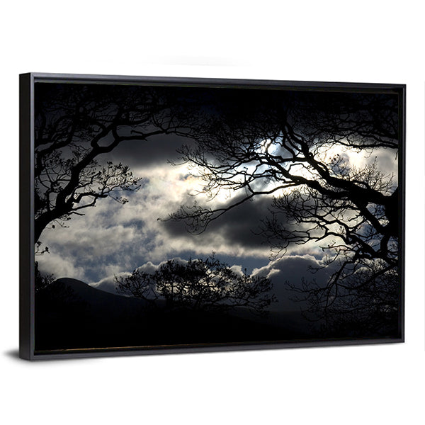 Silhouetted Trees Under Storm Clouds Canvas Wall Art