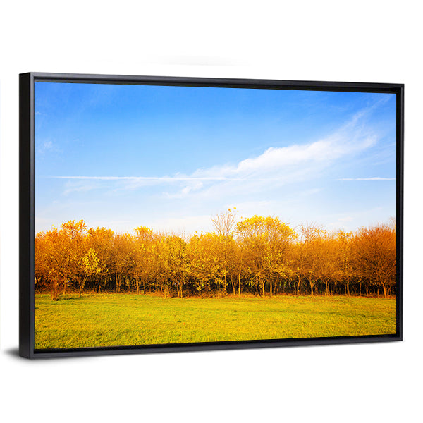 Autumn Meadow with Golden Leaves Canvas Wall Art
