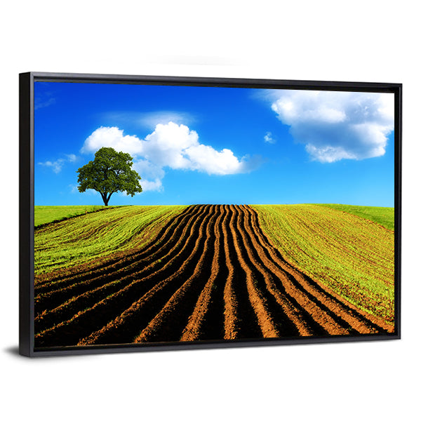 Ploughed Field with Lone Tree Canvas Wall Art in brown, green and blue, framed canvas, product view on a white background