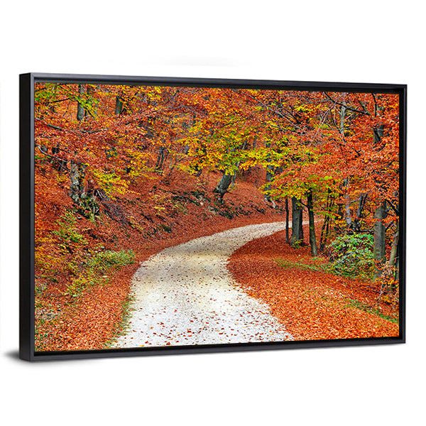 Autumn Misty Forest In Fall Canvas Wall Art