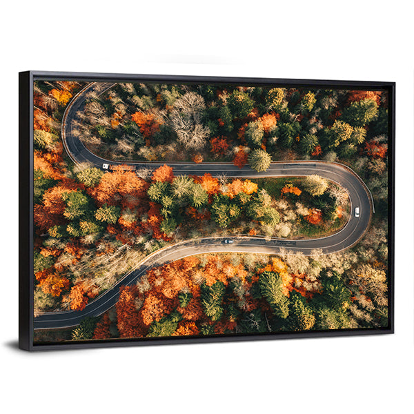 Winding Mountain Road Through Forest In Autumn Canvas Wall Art
