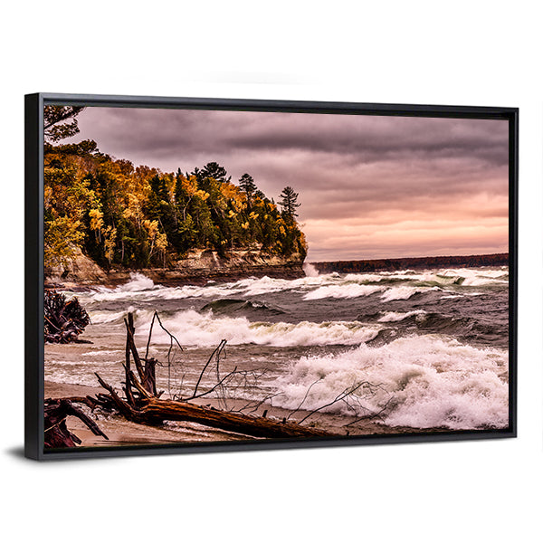 Driftwood on Autumn Lakeshore Canvas Wall Art