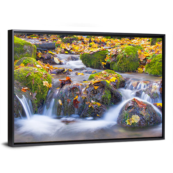Cascade Waterfall In Autumn Forest Canvas Wall Art