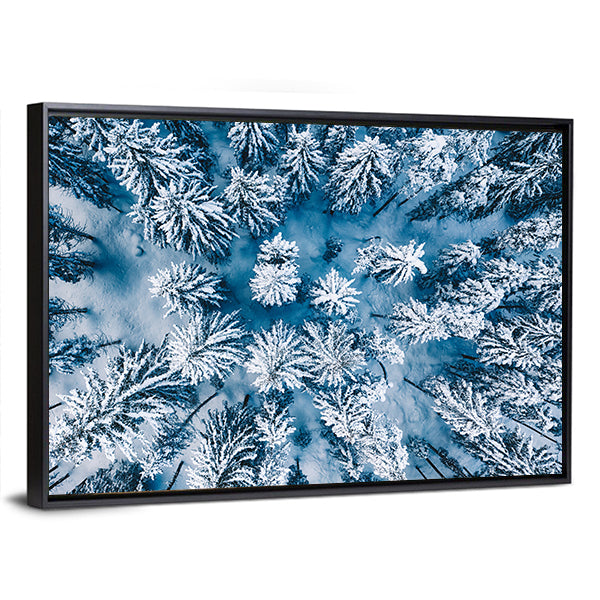Trees And Snow In Winter Forest Canvas Wall Art