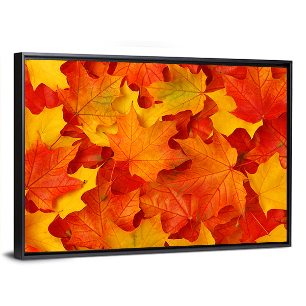 Fall Maple Leaves Canvas Wall Art