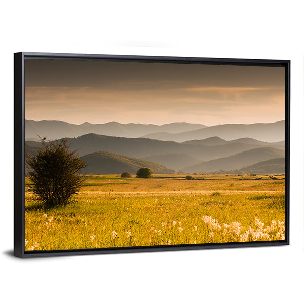 Golden Meadow and Rolling Hills Canvas Wall Art