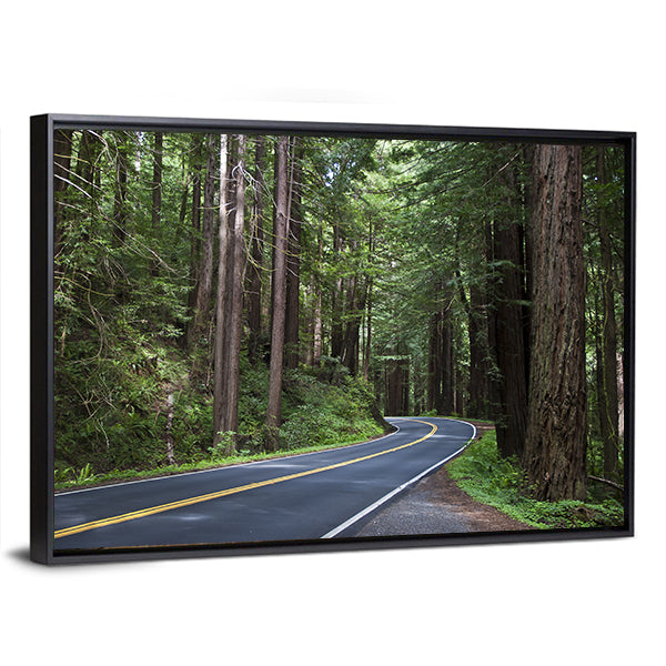 Redwoods Forest In California Canvas Wall Art