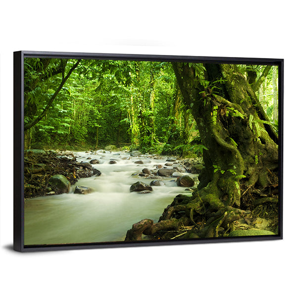 Tropical River At Selangor State In Malaysia Canvas Wall Art