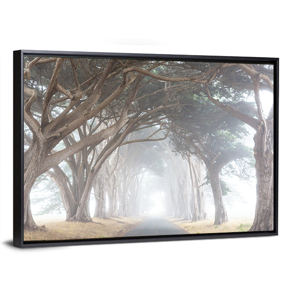 Misty Trees Alley In Foggy Weather Canvas Wall Art