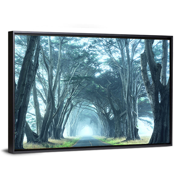 Misty Trees Alley In Foggy Weather Canvas Wall Art