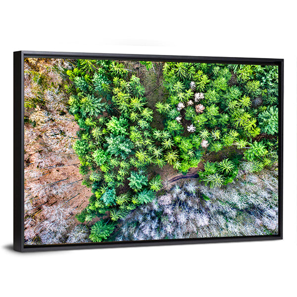 Aerial View Of Trees In The Vosges Mountains In Alsace France Canvas Wall Art