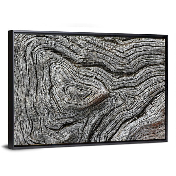 Weathered Wood Grain Macro Canvas Wall Art
