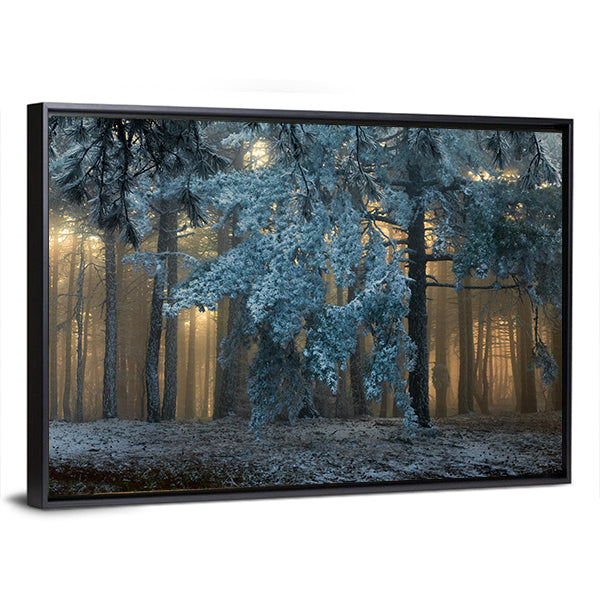 Fog In The forest In Uludag Turkey Canvas Wall Art
