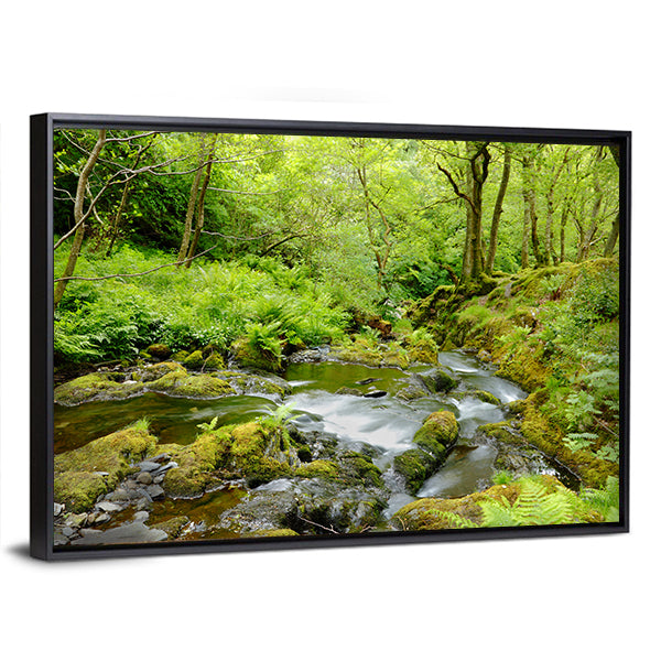 Dolgoch Falls In Wales UK Canvas Wall Art