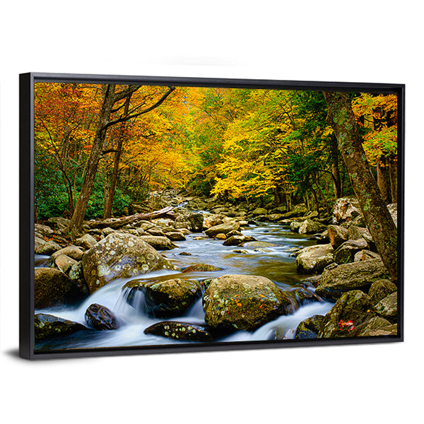 Rushing Stream in Great Smokey Mountains Canvas Wall Art