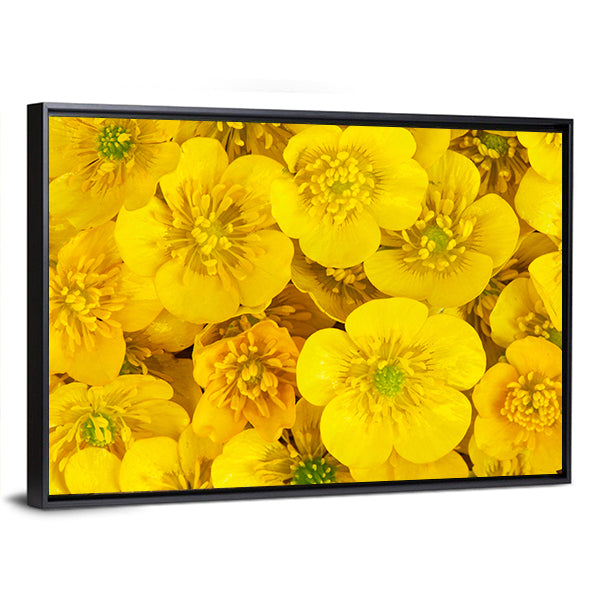 Yellow Wild Buttercups Canvas Wall Art in yellow and green, framed canvas, product view on a white background