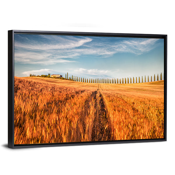 Wheat Field In Tuscany Canvas Wall Art