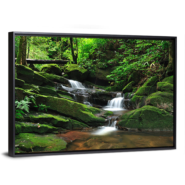 Waterfall In Rain Forest Canvas Wall Art