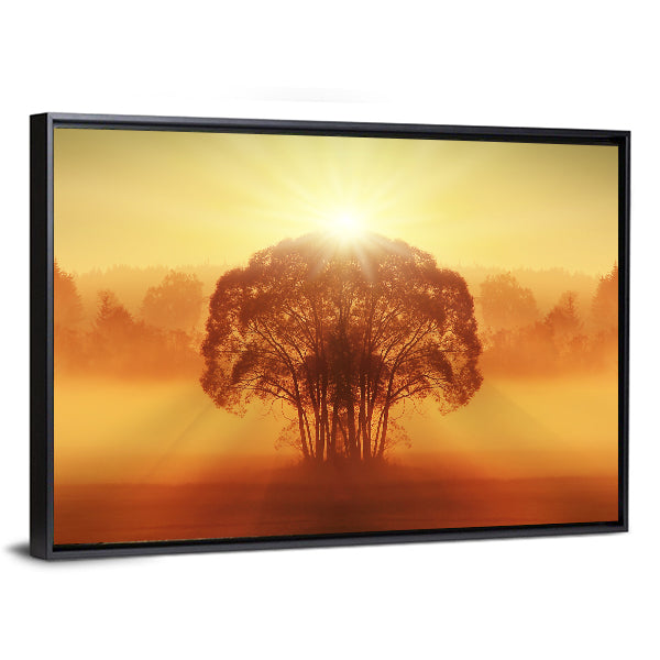 Lone Tree in Golden Morning Mist Canvas Wall Art